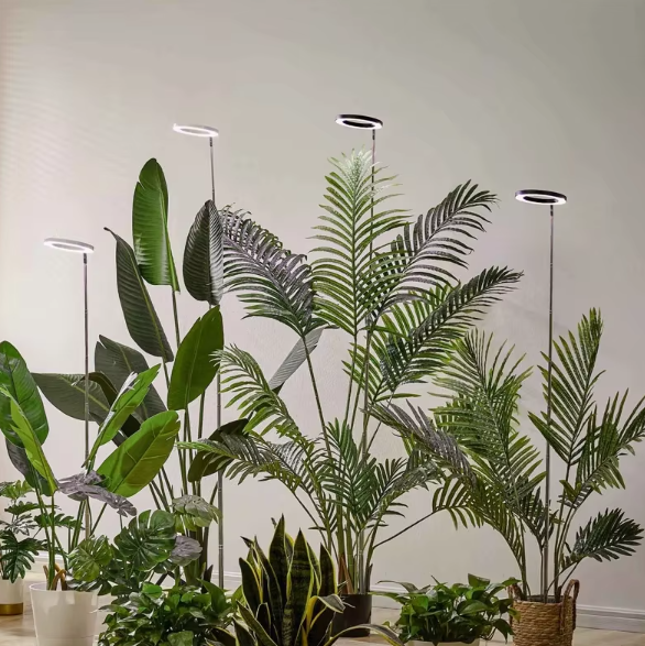 Luz de cultivo para plantas de interior