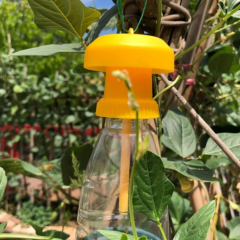 Trampa para moscas de la fruta con cubierta colgante