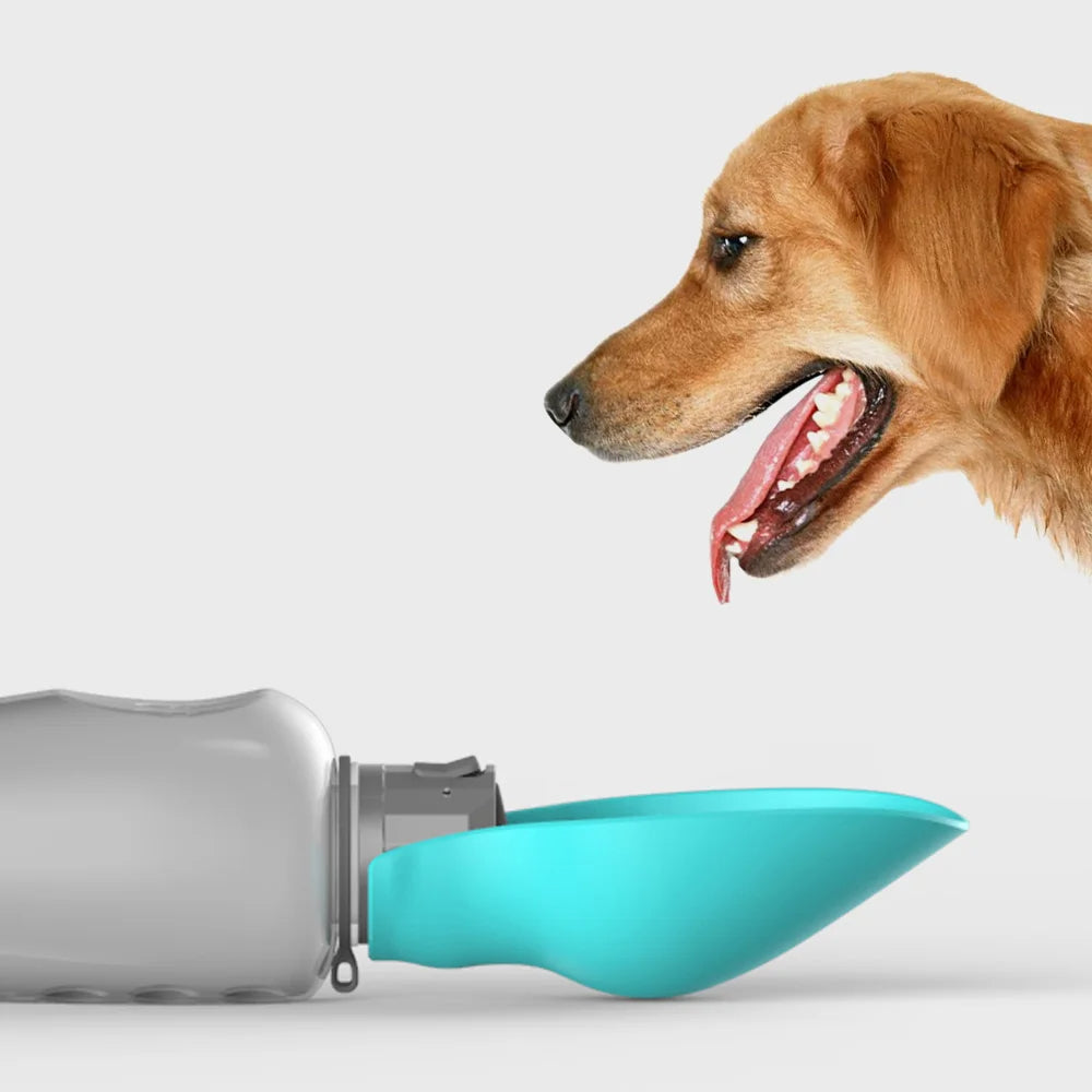 Botella de agua portátil para perros