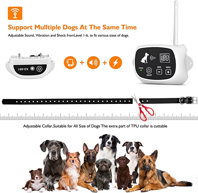Valla inalámbrica para perros con collar
