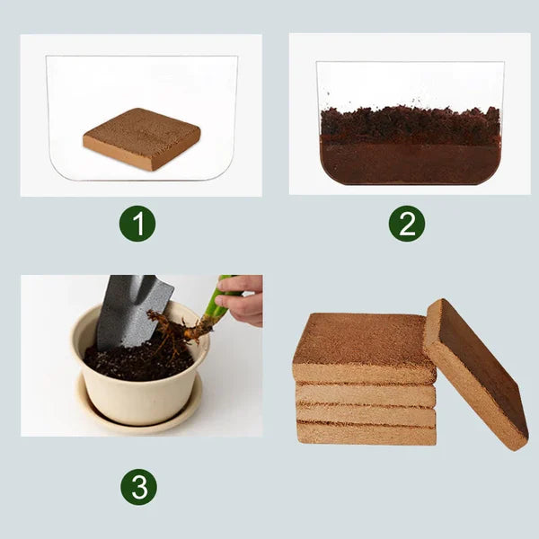 Fibra de coco orgánica para plantas