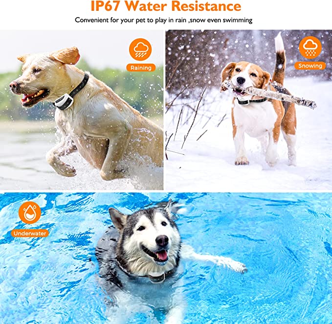 Valla inalámbrica para perros con collar