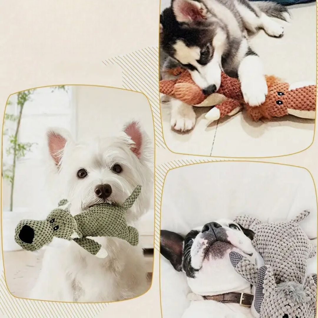 Juguete Duradero para Perros