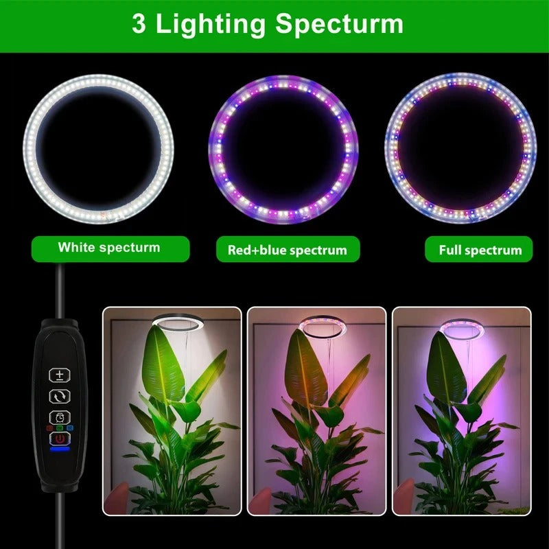 Luz de cultivo para plantas de interior
