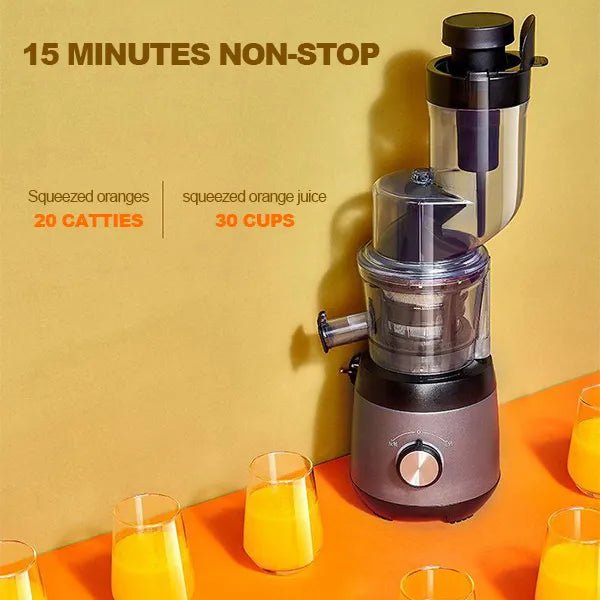 Automatic Juicer - Juicer Household Residue for Fruits and Vegetables - TRENDVYO
