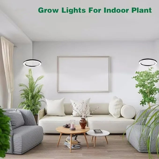Luz de cultivo para plantas de interior