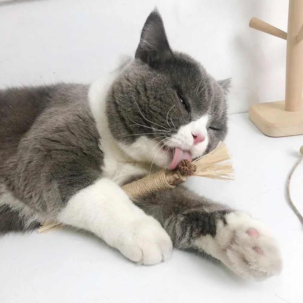 Juguete masticable para gatos de vid de plata natural