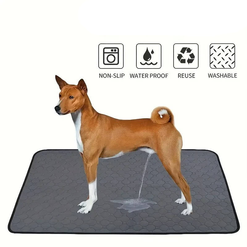 Empapadores para Perros Desechables y Reutilizables