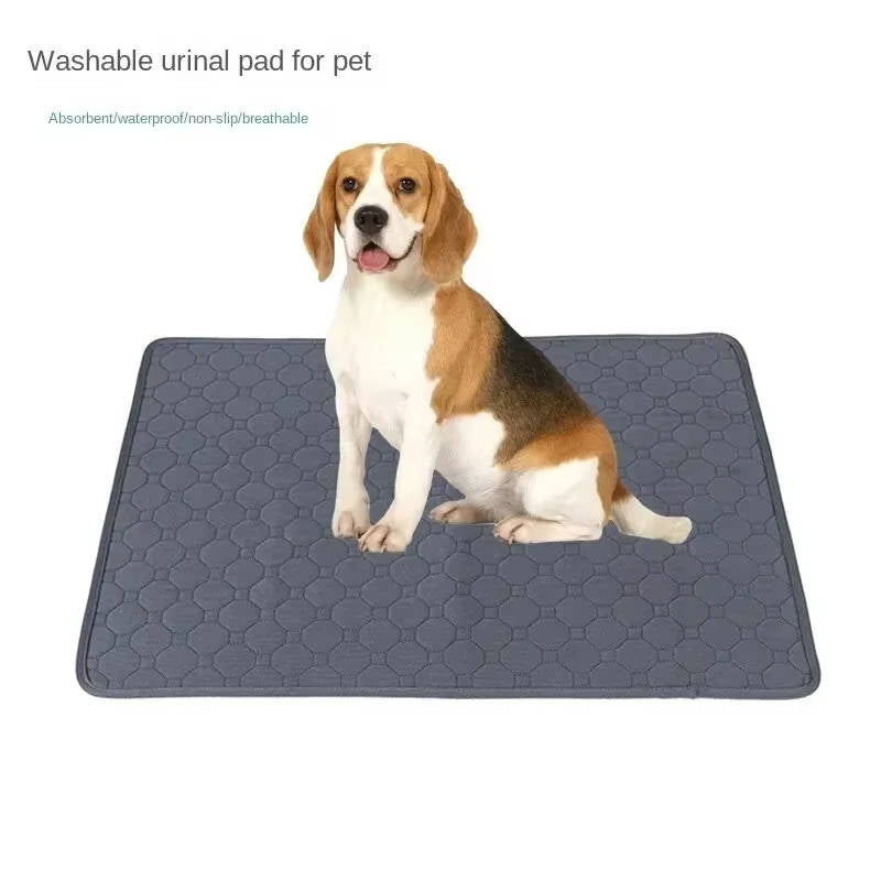 Empapadores para Perros Desechables y Reutilizables