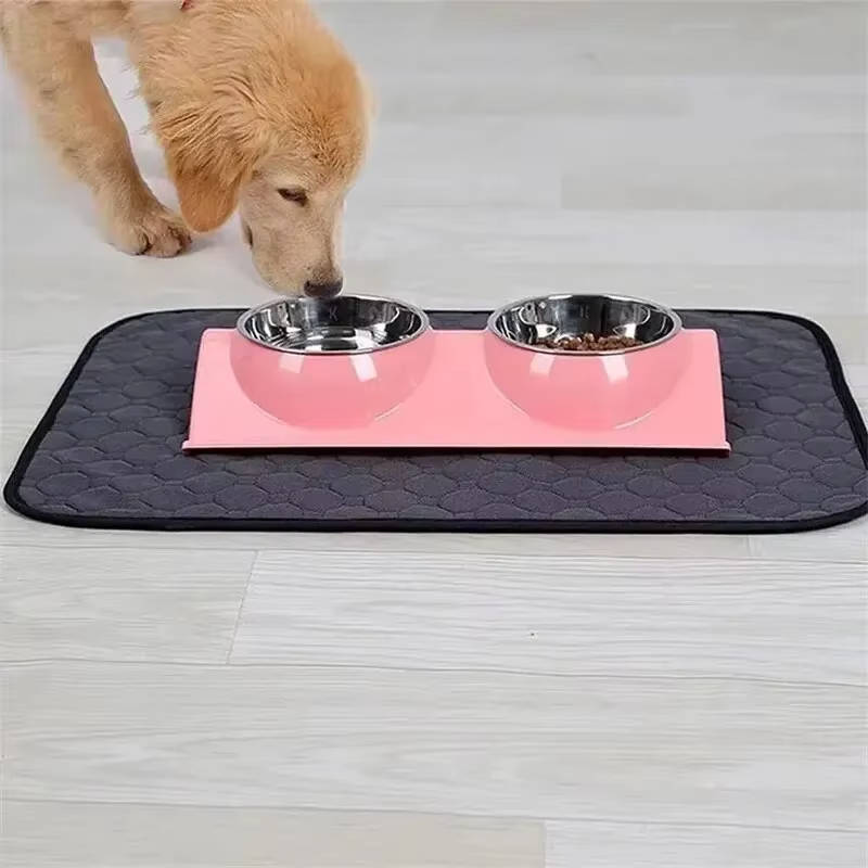 Empapadores para Perros Desechables y Reutilizables