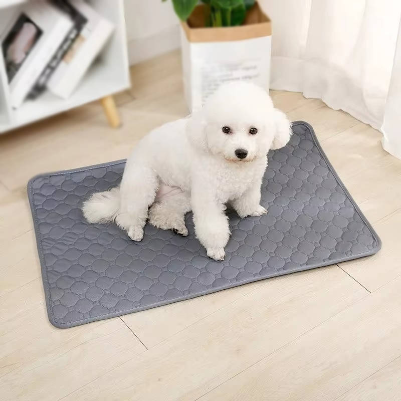 Empapadores para Perros Desechables y Reutilizables