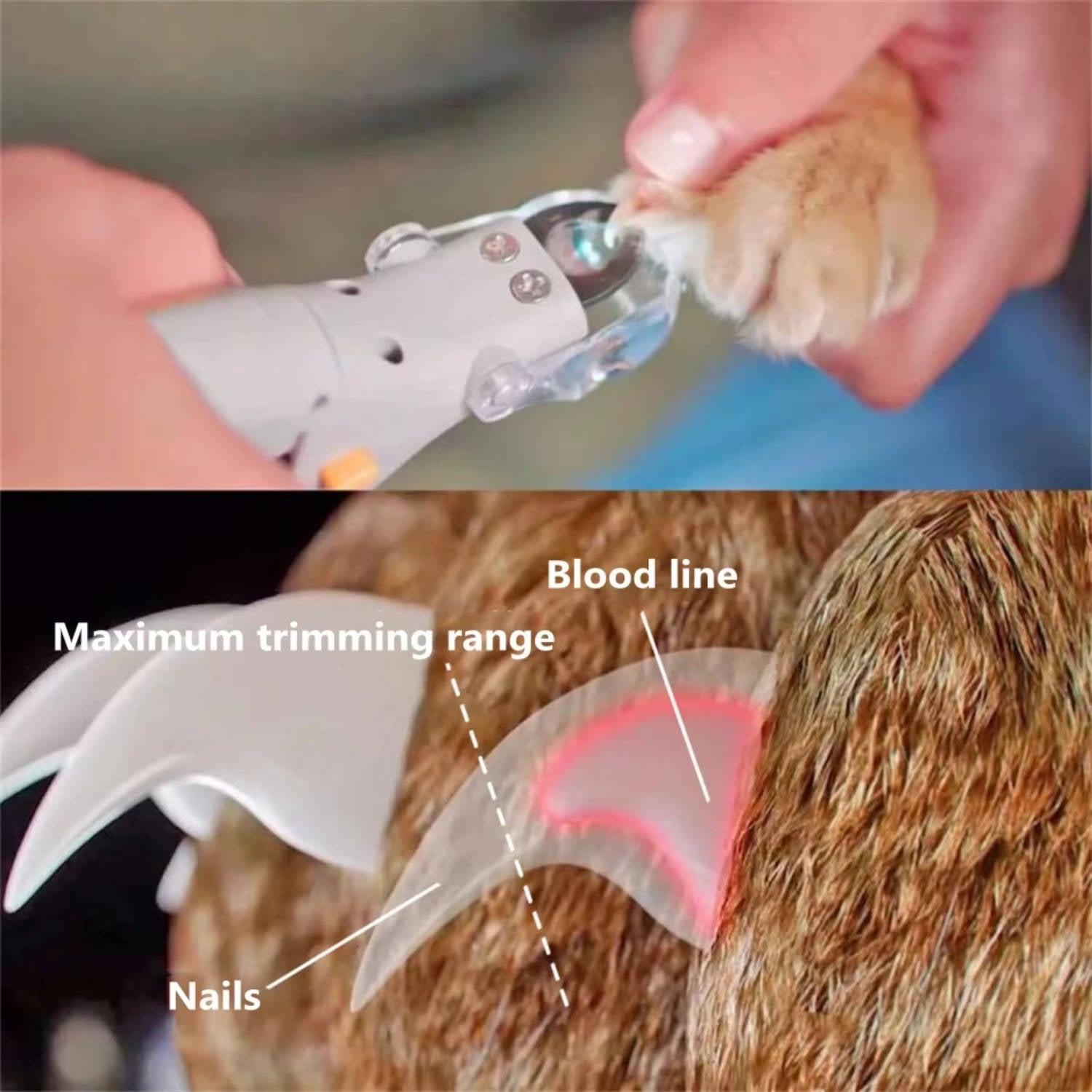 Cortauñas de mascotas con luz