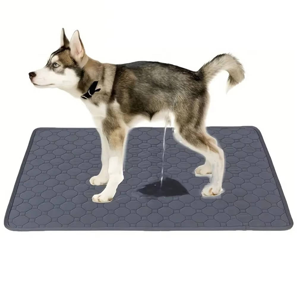Empapadores para Perros Desechables y Reutilizables