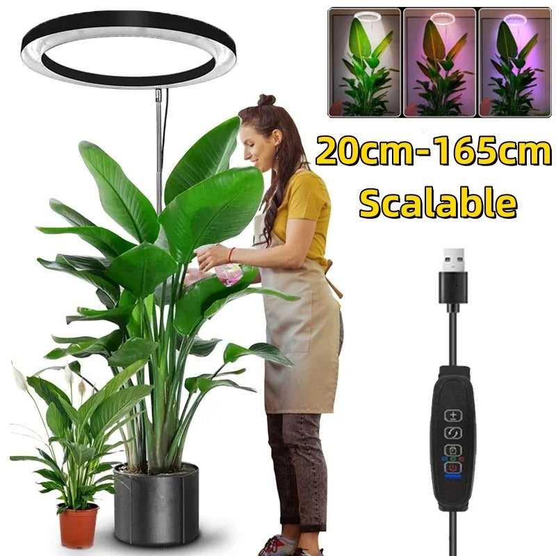 Luz de cultivo para plantas de interior