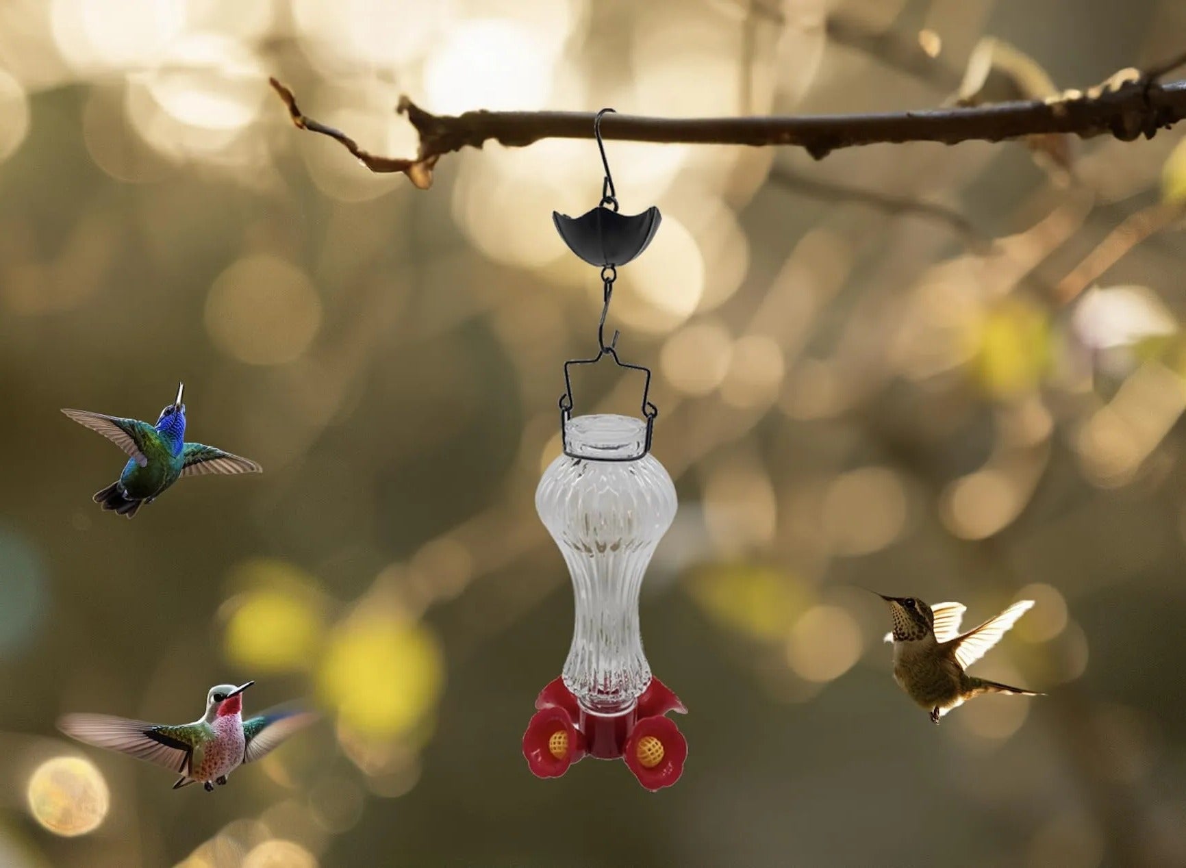 Flowers Glass Hummingbird Feeder With Ant Moat - TRENDVYO