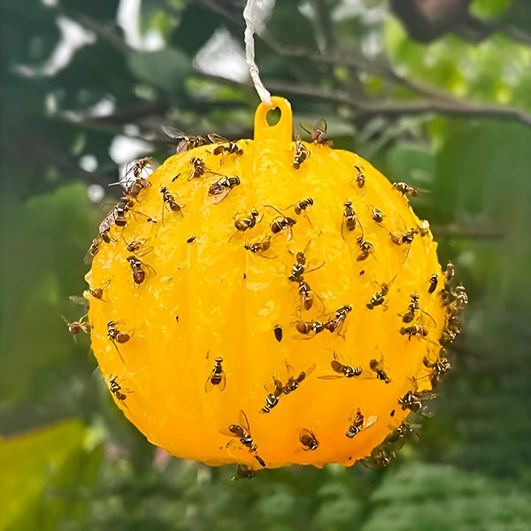 Hanging Fly Trap with Adhesive Layer (6 Pcs) - TRENDVYO