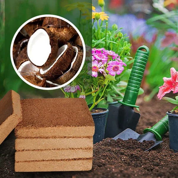 Fibra de coco orgánica para plantas