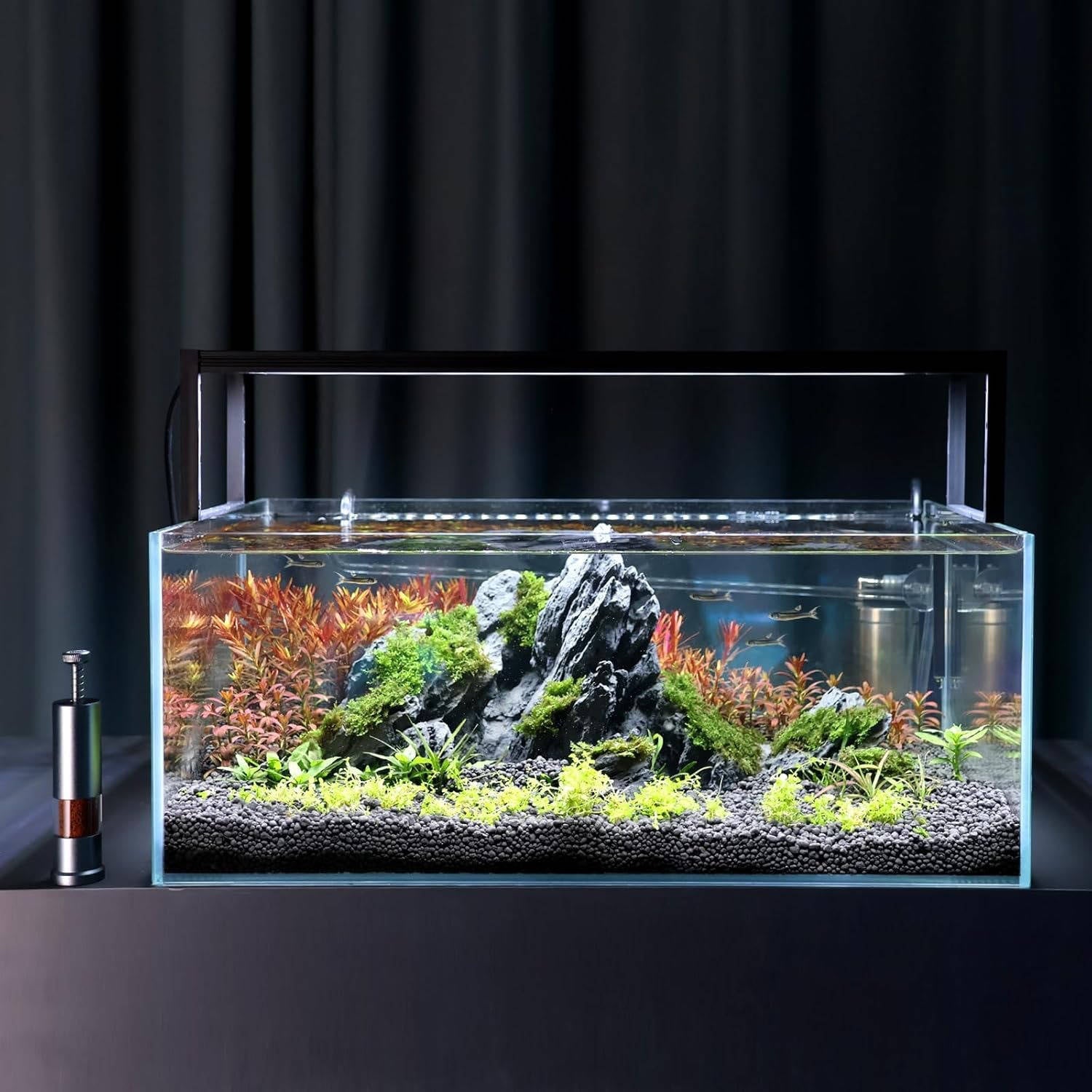 Mini comedero para peces de acuario