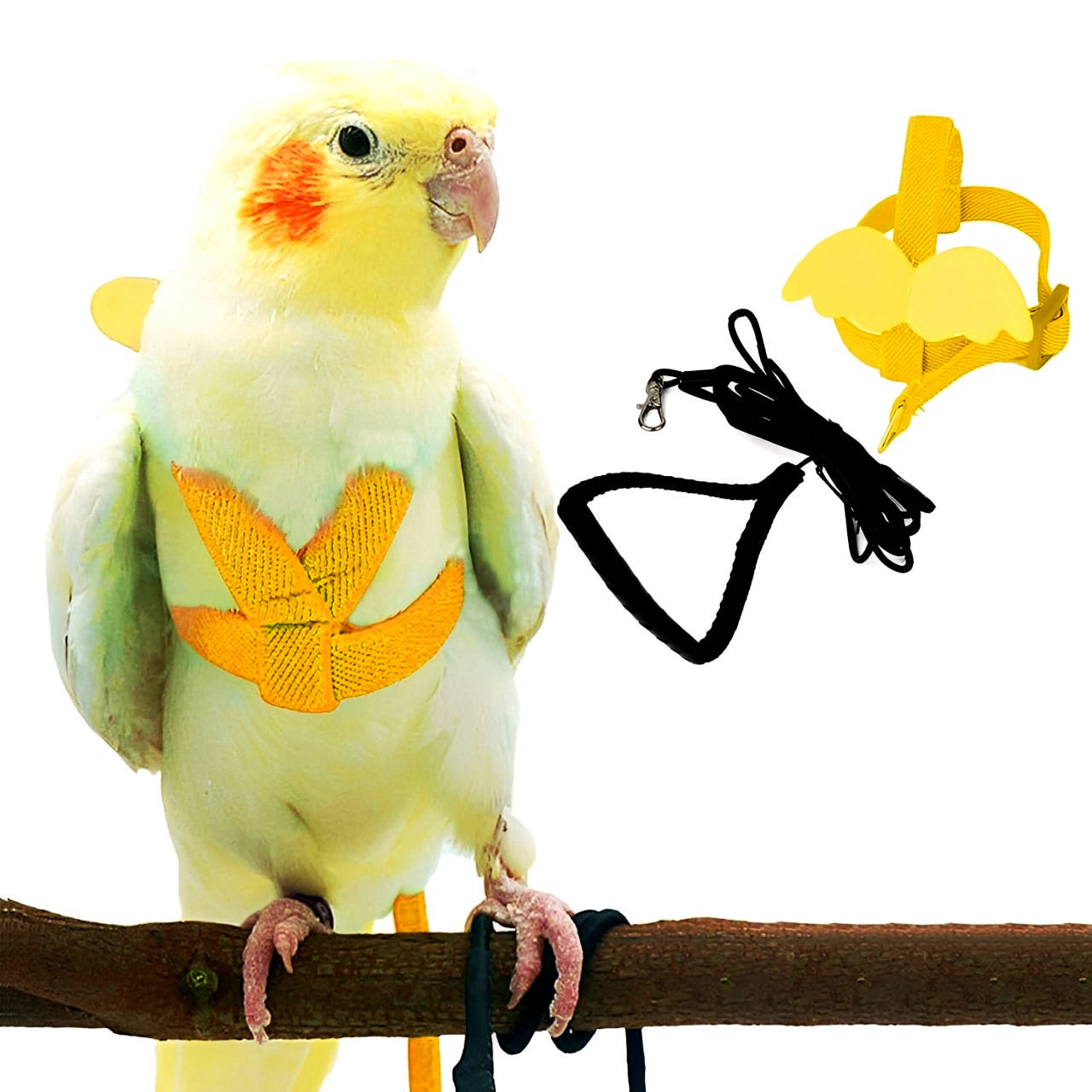 Arnés para loros