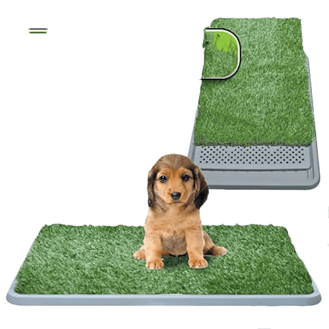 Indoor Grass - TRENDVYO