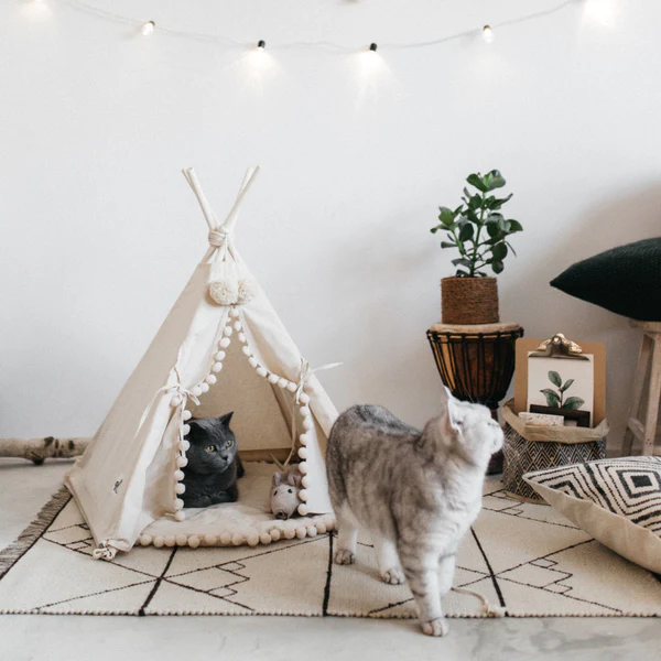 Tipi Bohemio para Mascotas
