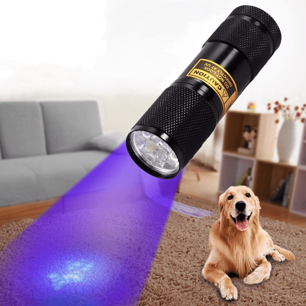 Powerful 21 LED pocket UV lamp - TRENDVYO