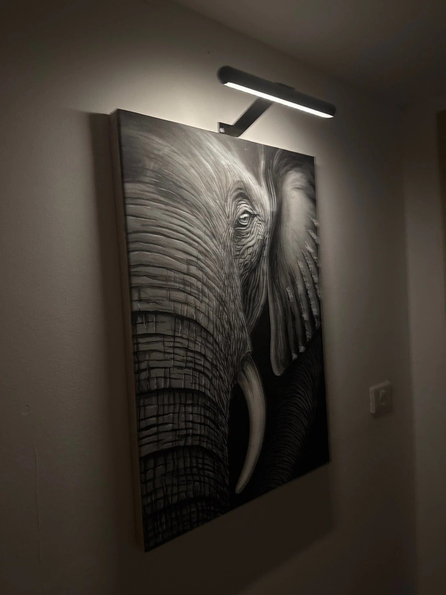 Wireless LED Picture Light - TRENDVYO