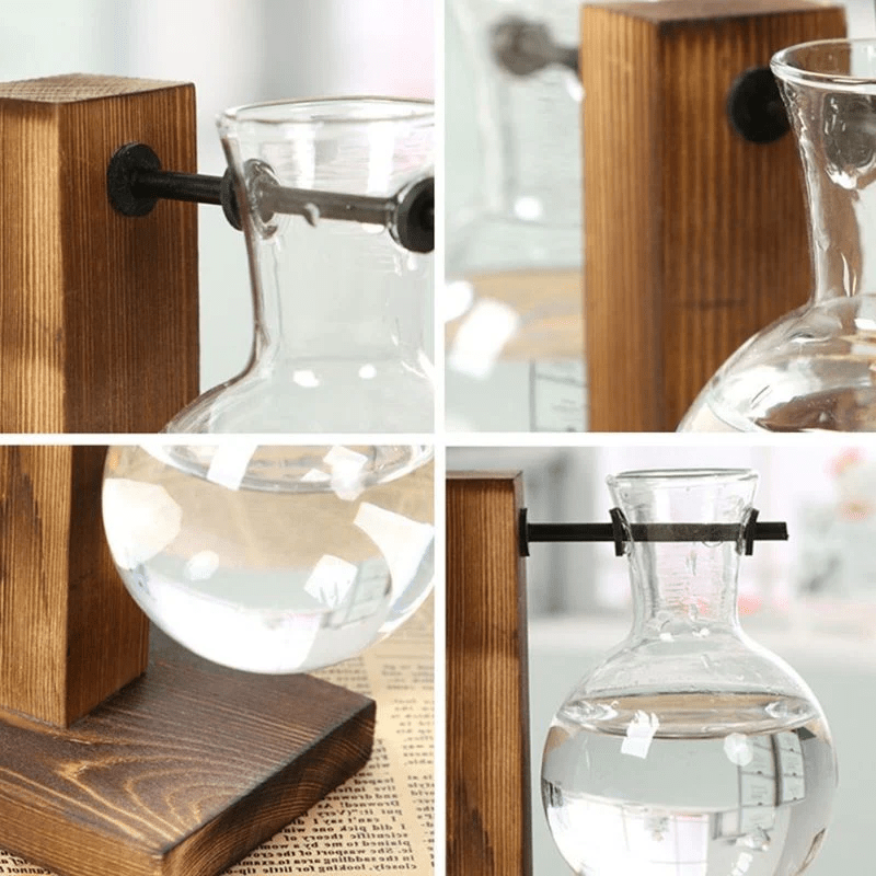 Wooden Frame Hydroponic Plant Vase - TRENDVYO