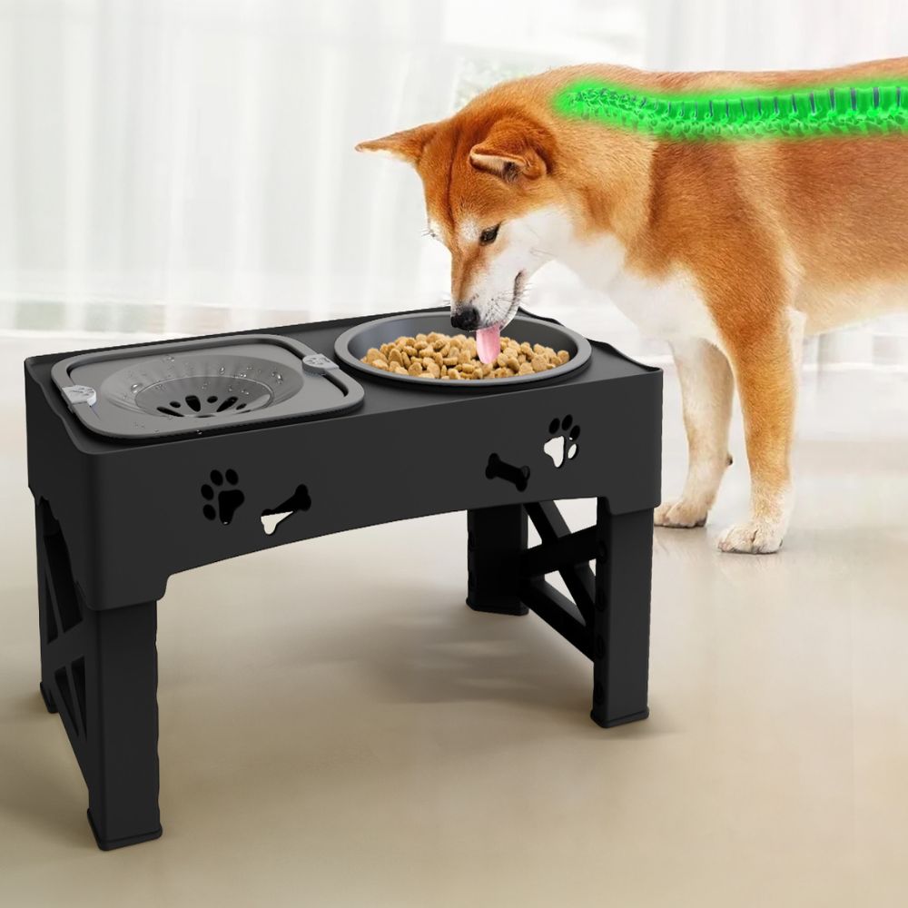 Comedero lento elevado y ajustable para perros