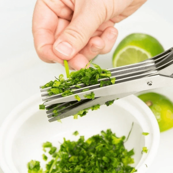 5 Blade Kitchen Salad Scissors - TRENDVYO