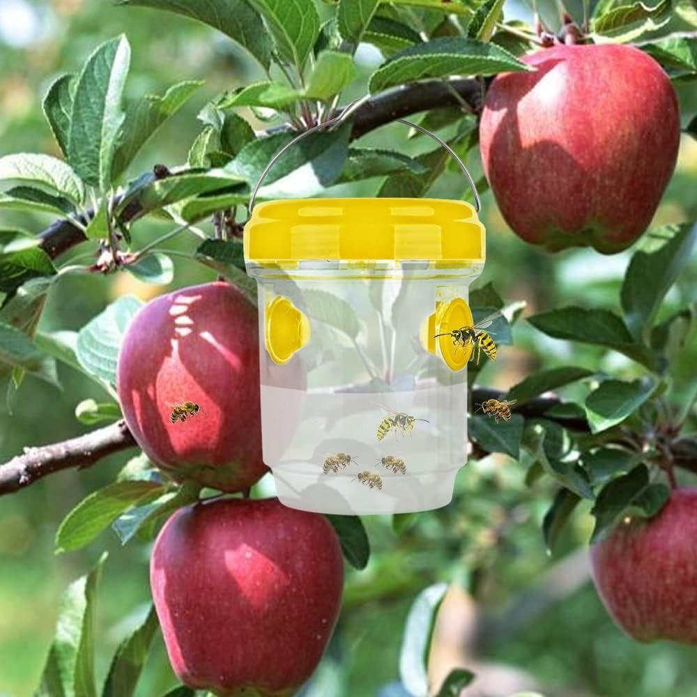 Trampas para moscas de la fruta (insectos)