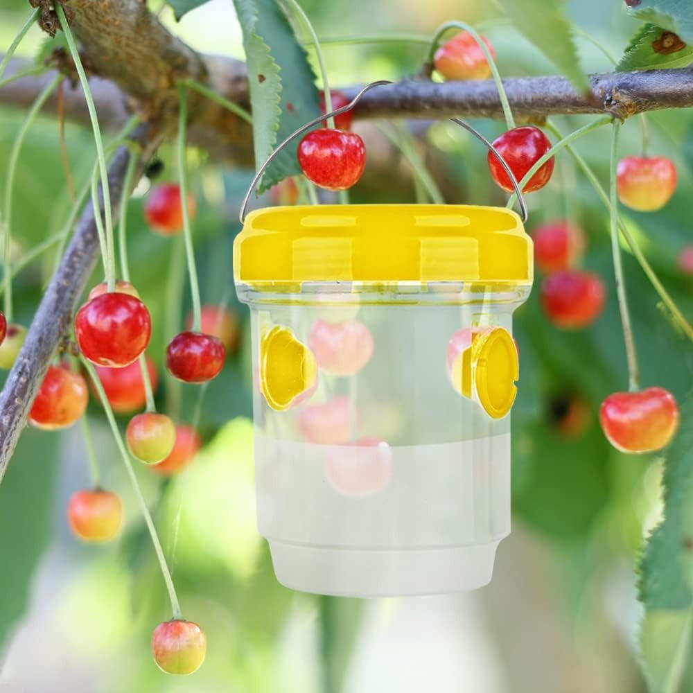 Trampas para moscas de la fruta (insectos)