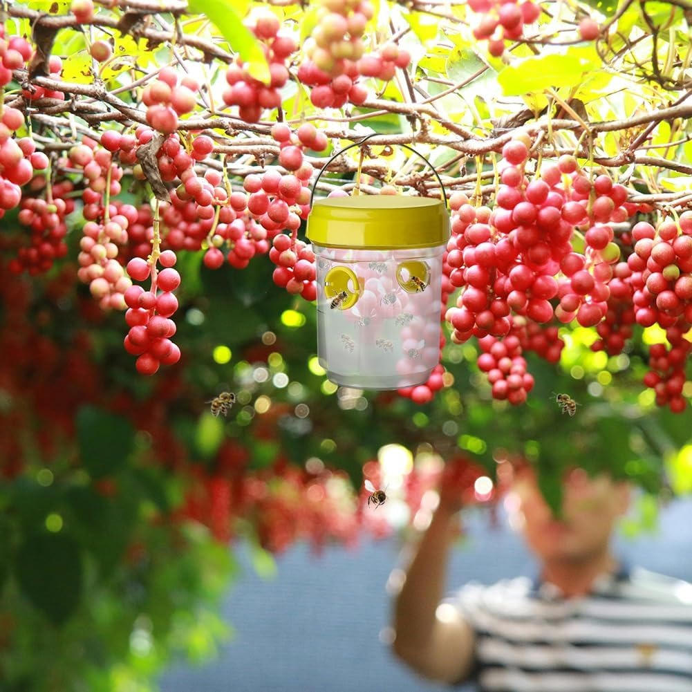 Trampas para moscas de la fruta (insectos)