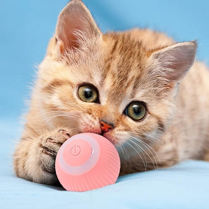 Pelota de juego interactiva para gatos