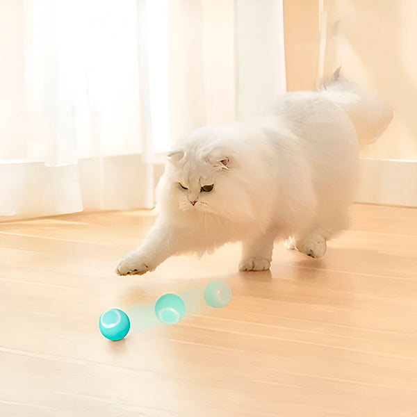 Pelota Interactiva para Mascotas, Rueda Automáticamente