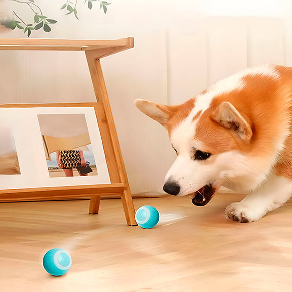 Pelota Interactiva para Mascotas, Rueda Automáticamente