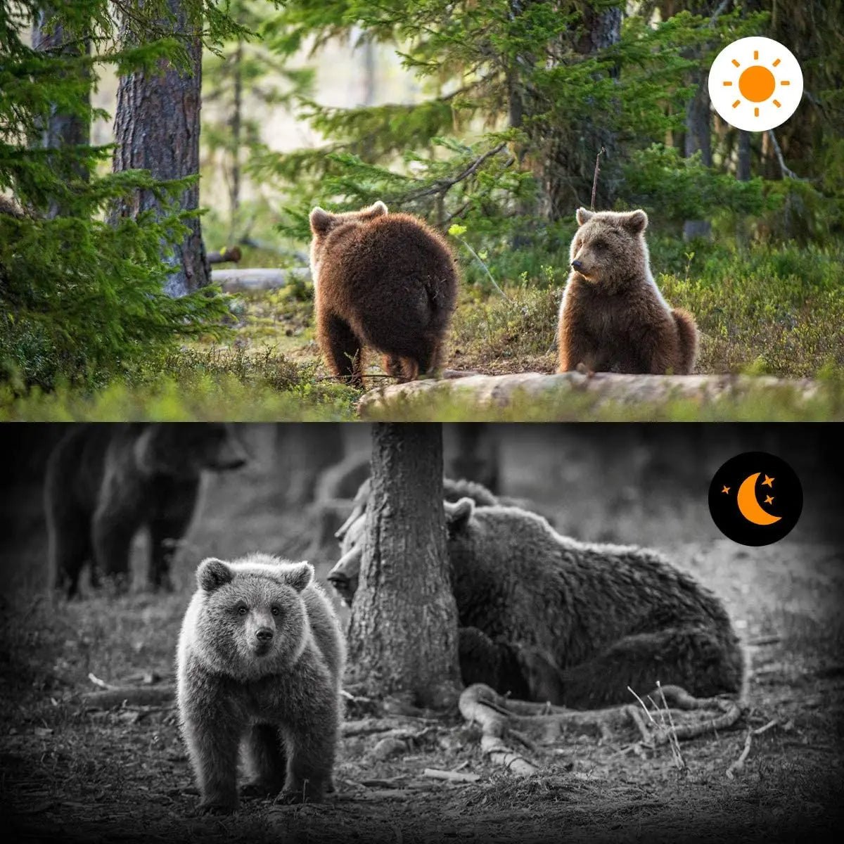 Advanced Night Vision Trail Camera - TRENDVYO