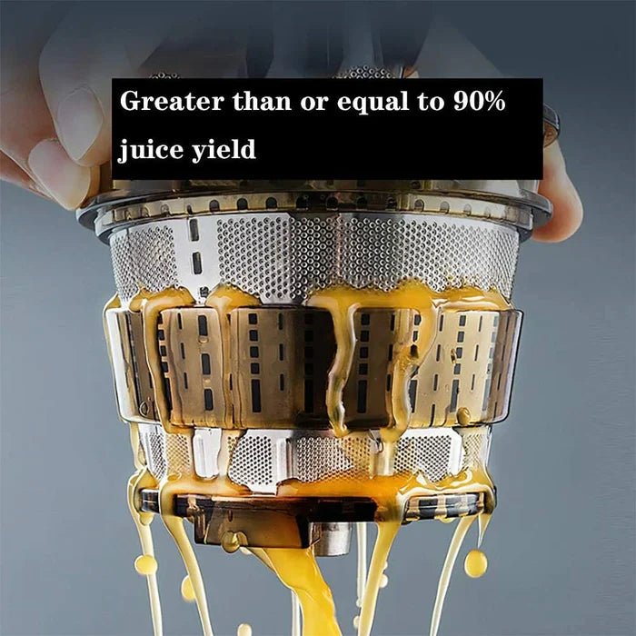 Automatic Juicer - Juicer Household Residue for Fruits and Vegetables - TRENDVYO