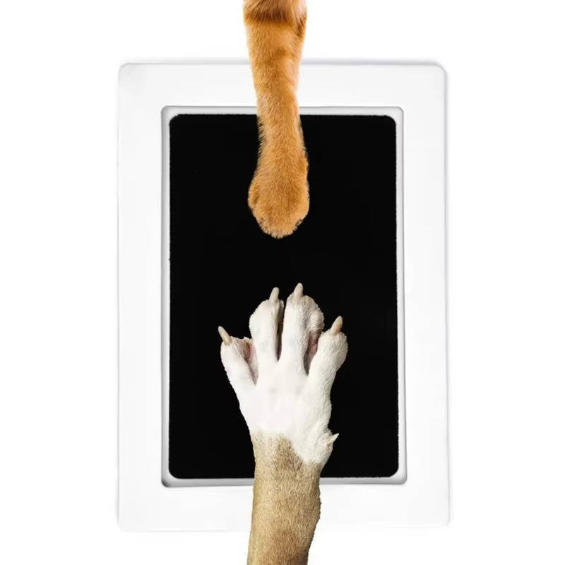 Kit de huellas de patas de perro