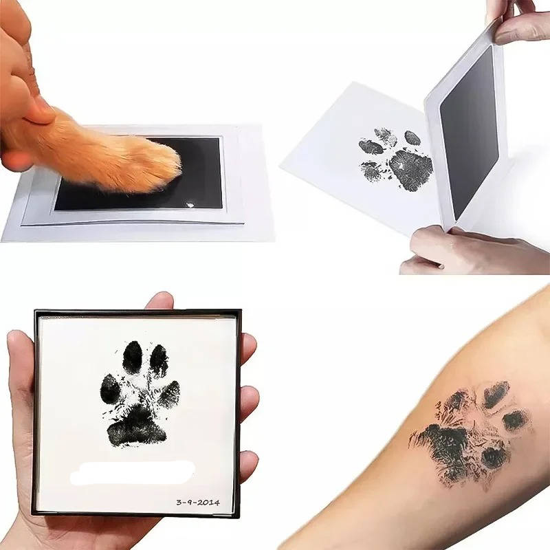 Kit de huellas de patas de perro