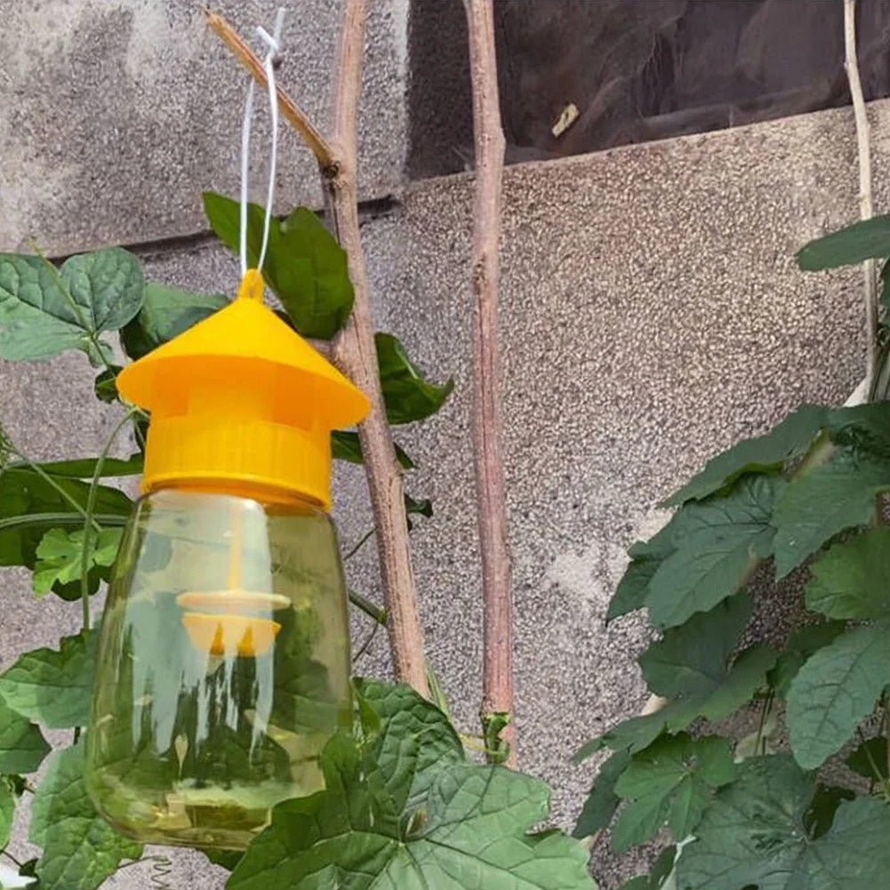 Hanging Fruit Fly Trap - TRENDVYO