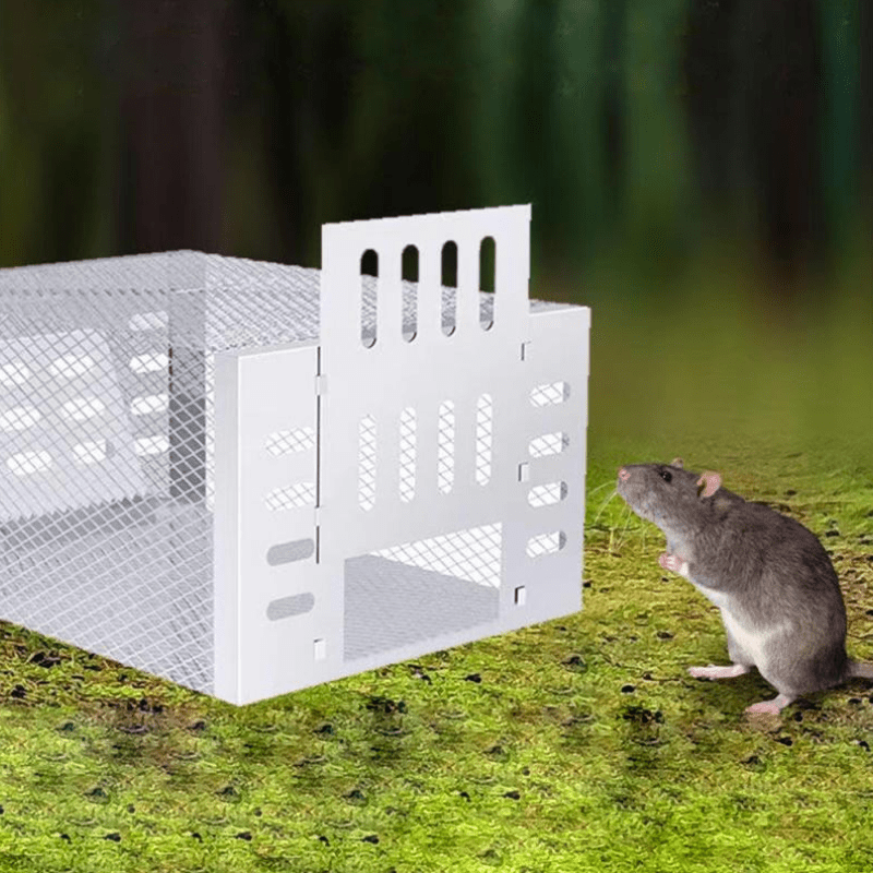 Human Mouse Trap with Safe & Reusable Design - TRENDVYO