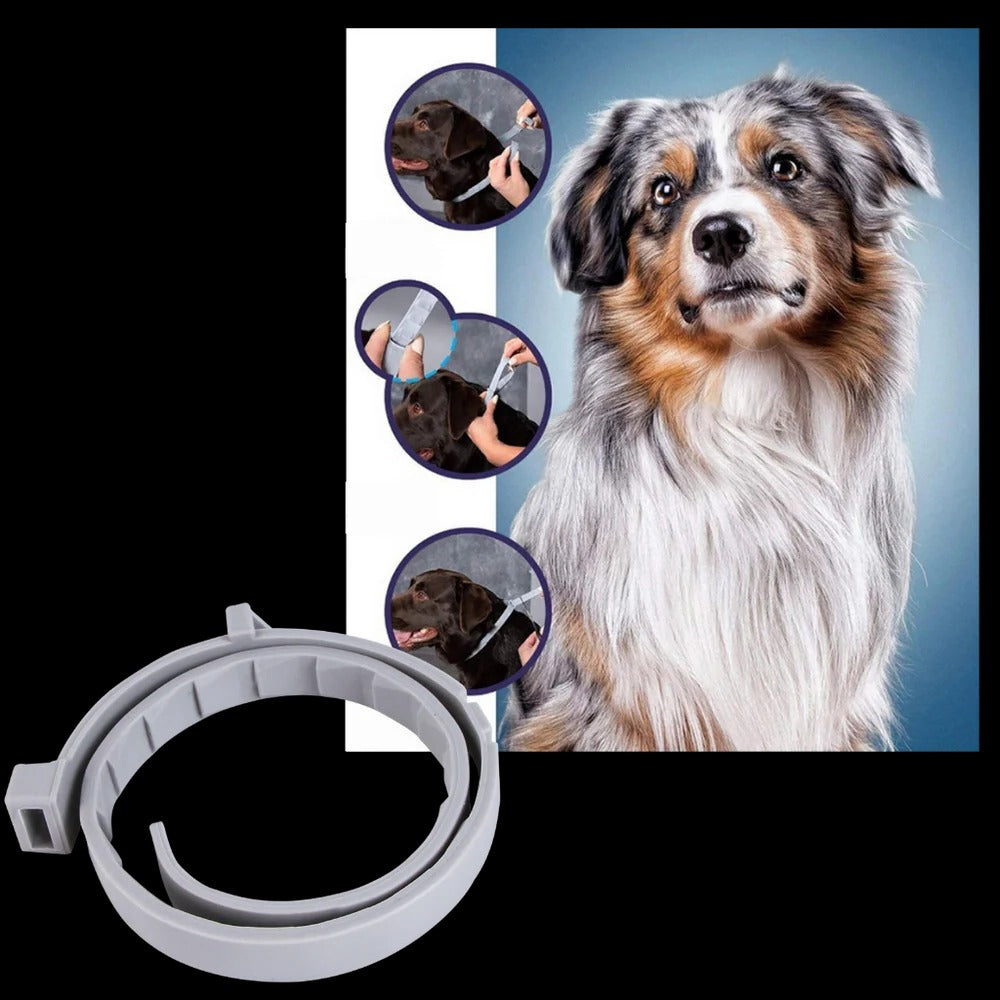 Collar antiparasitario para mascotas