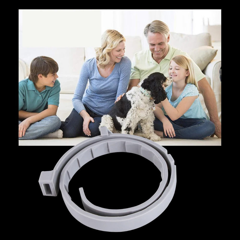 Collar antiparasitario para mascotas