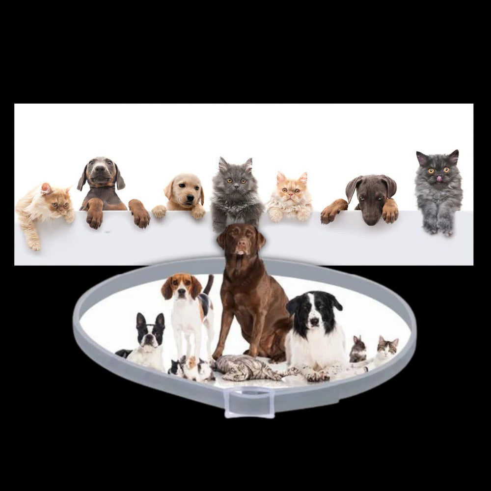 Collar antiparasitario para mascotas