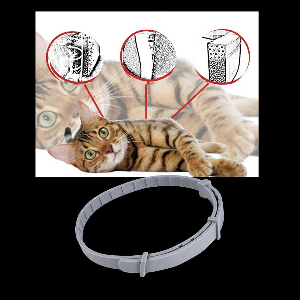 Collar antiparasitario para mascotas