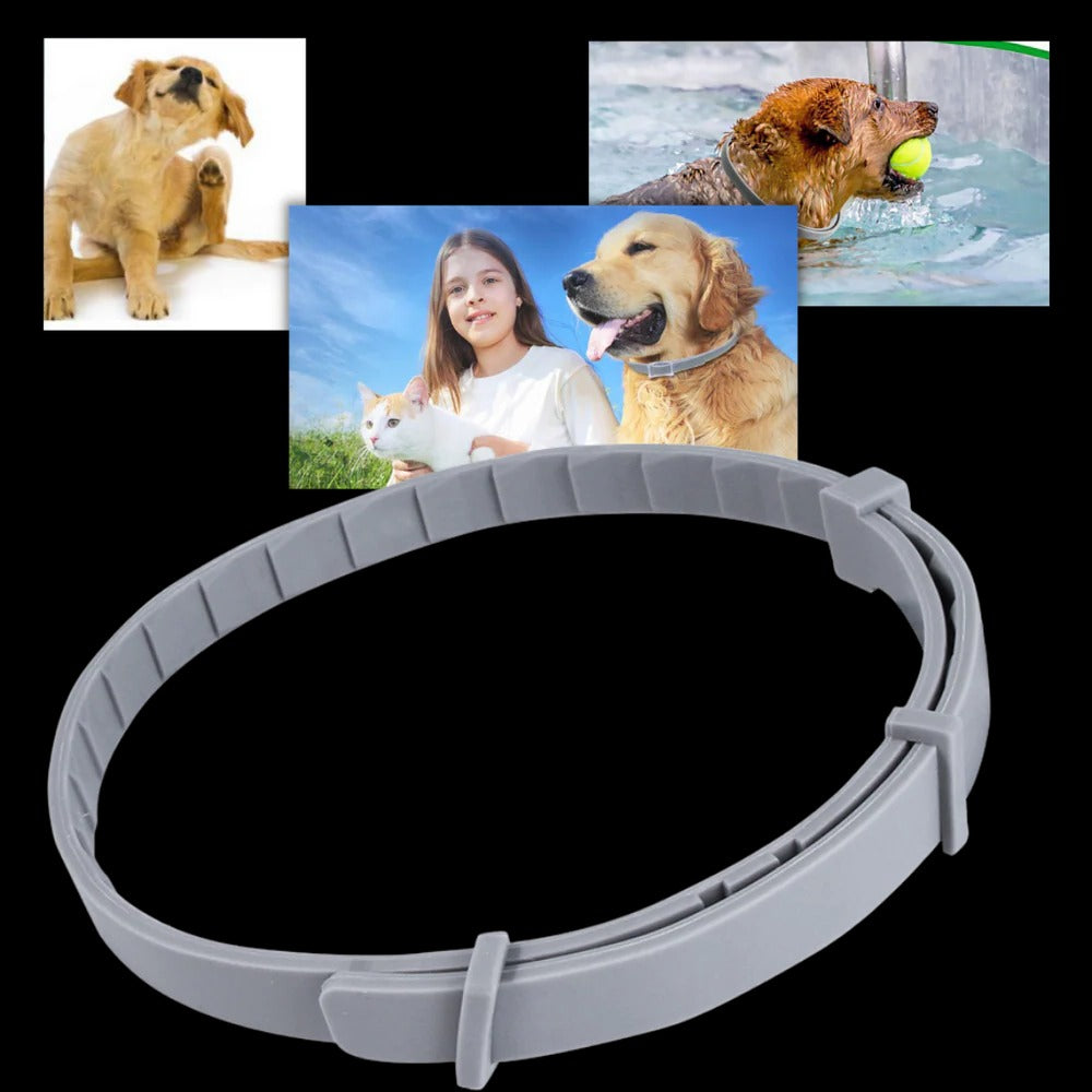 Collar antiparasitario para mascotas