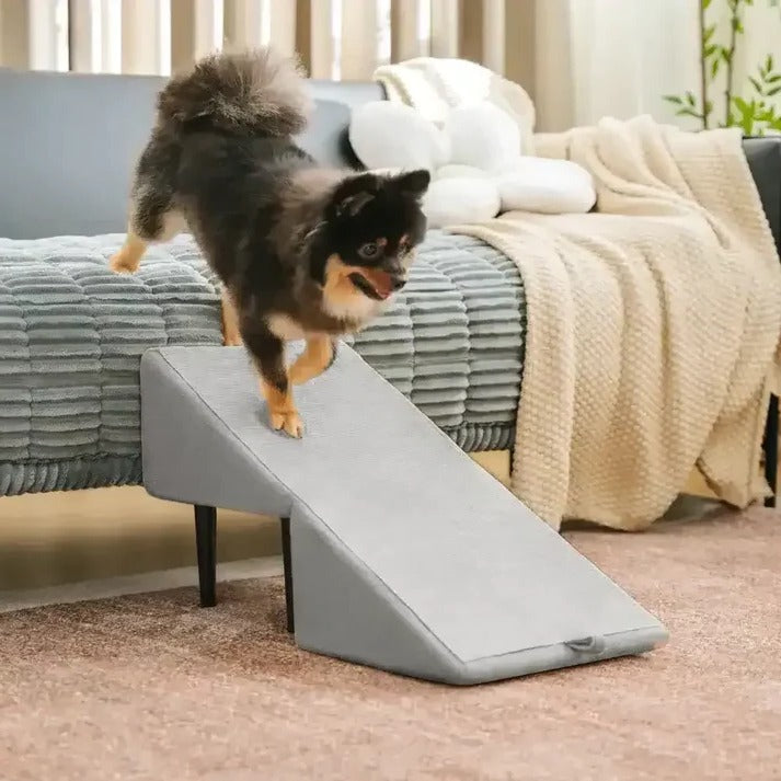 Rampa y escalera convertibles 2 en 1 para perros