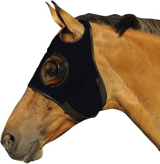 Anteojeras para caballo