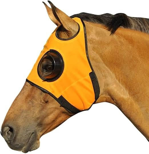 Anteojeras para caballo